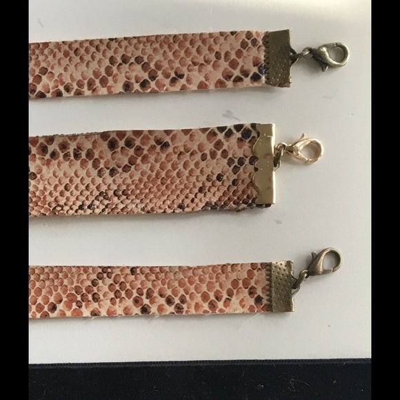 Snakebite gift set - Picture 3 of 3