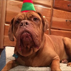 Meet your Posher, Carrie