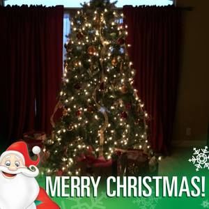 Meet your Posher, Dina