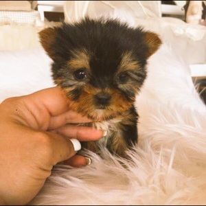 Meet your Posher, Bria