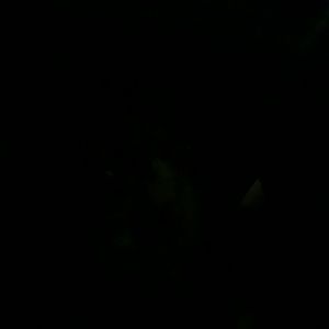 Meet your Posher, Floyd