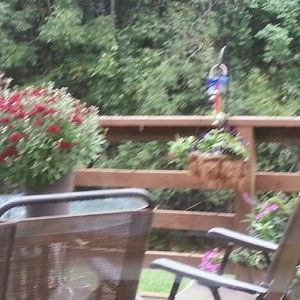 Meet your Posher, Mabel