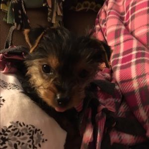 Meet your Posher, Andrea