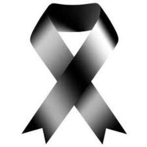 Meet your Posher, Sergio