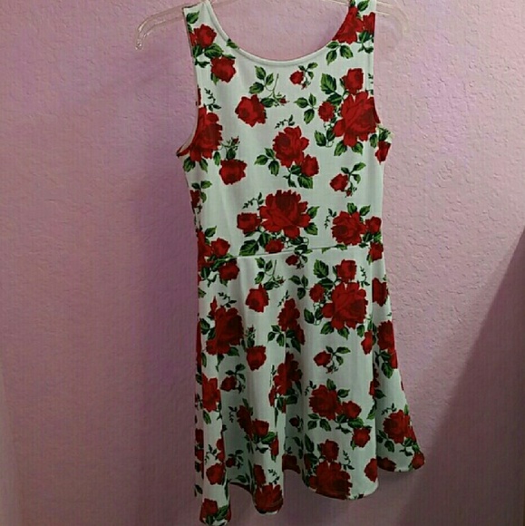White Dress covered with Roses