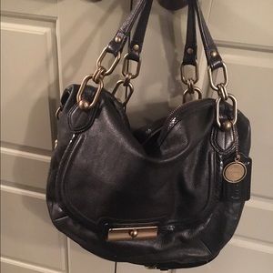 Coach pinnacle Sage satchel