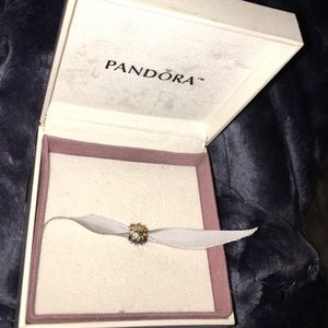 Pandora Discontinued Sunshine Charm