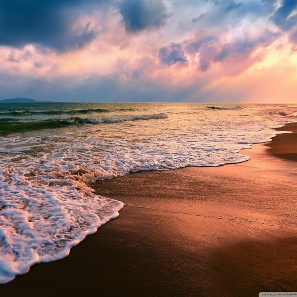 Meet your Posher, Priscilla - Picture 1 of 1