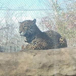 Meet your Posher, Kayley