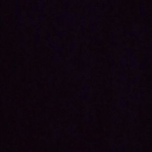 Meet your Posher, Kiara