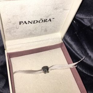 Pandora Discontinued Hedgehog Charm