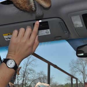 Meet your Posher, Sang e.