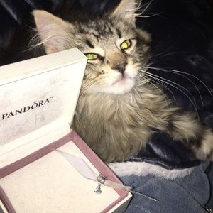 Pandora Discontinued Cat with Fish Dangle Charm
