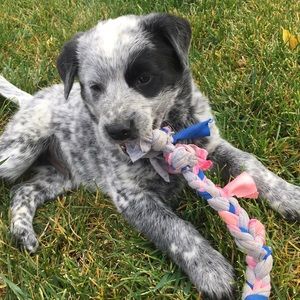 Meet your Posher, Meg