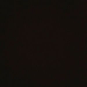 Meet your Posher, Darius