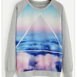 Long Sleeve sweatshirt (one size but fits a small)