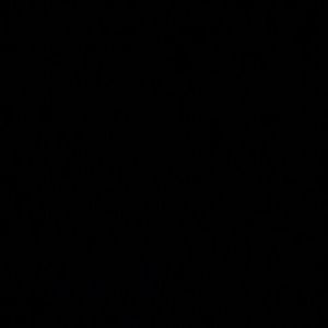 Meet your Posher, Skyania