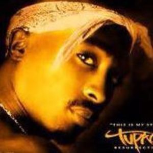 Meet your Posher, Andres