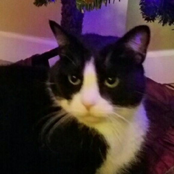 Meet your Posher, Jennifer - Picture 1 of 1