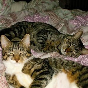 Meet your Posher, Felicia