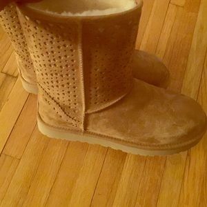 New limited edition uggs