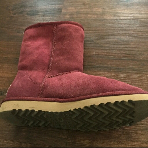 Authentic short uggs - Picture 4 of 4