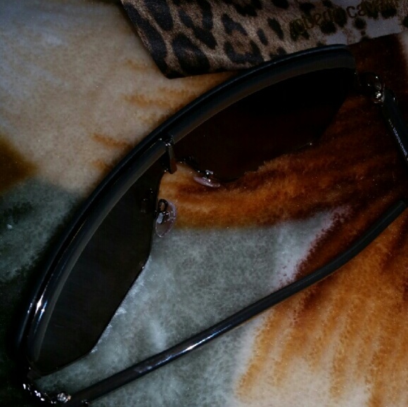 New Roberto Cavalli Sunglasses main image 4