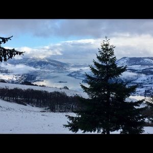 Meet your Posher, Carol