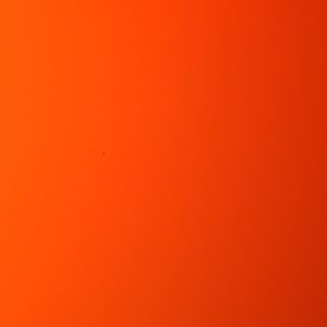 Meet your Posher, Shriya