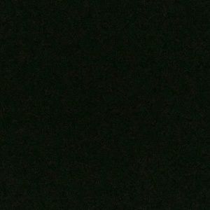 Meet your Posher, Eliza