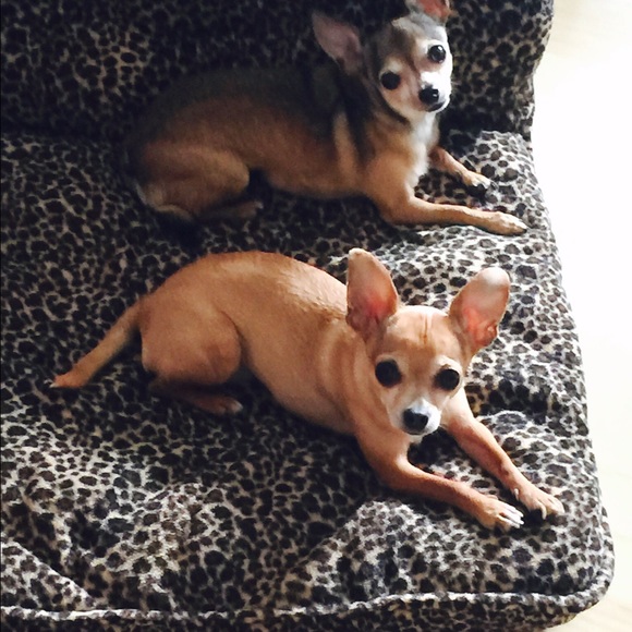 Three of my babies