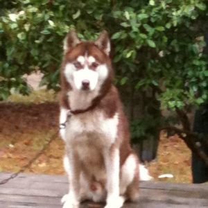 Meet your Posher, Gail