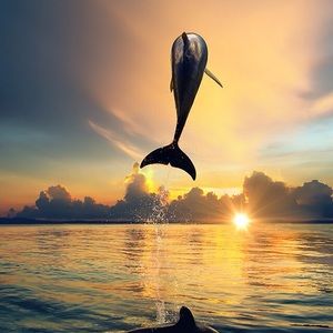 Meet your Posher, Celia