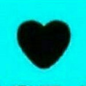 Meet your Posher, Kaylee