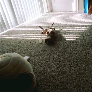 Meet your Posher, Emily