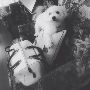 Meet your Posher, Shellina