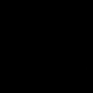 Meet your Posher, Lydia