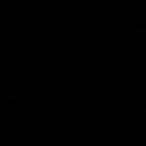 Meet your Posher, Dylan