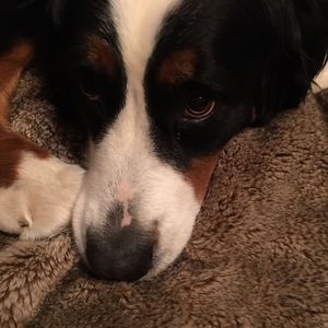 Meet your Posher, Eileen