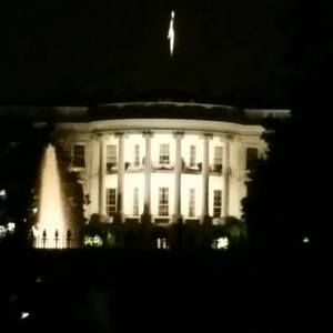 Meet your Posher, Claudia