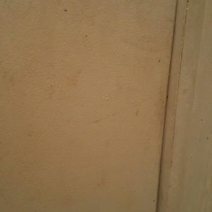 Meet your Posher, Concepcion