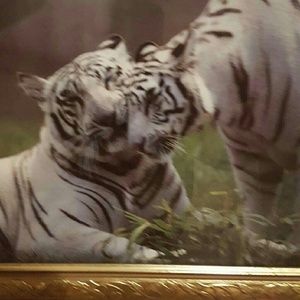 Meet your Posher, Marlene