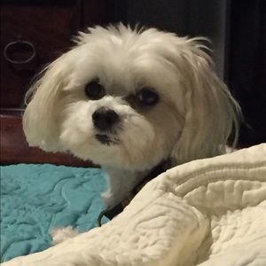 Meet your Posher, Debra