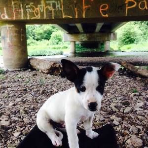 Meet your Posher, Cristy