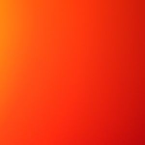 Meet your Posher, Reese