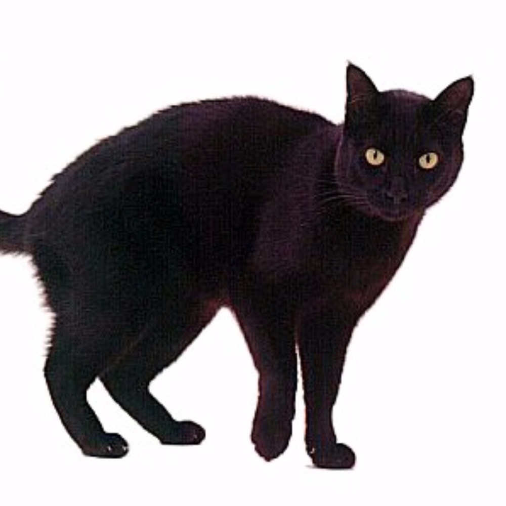 Meet your Posher, MB