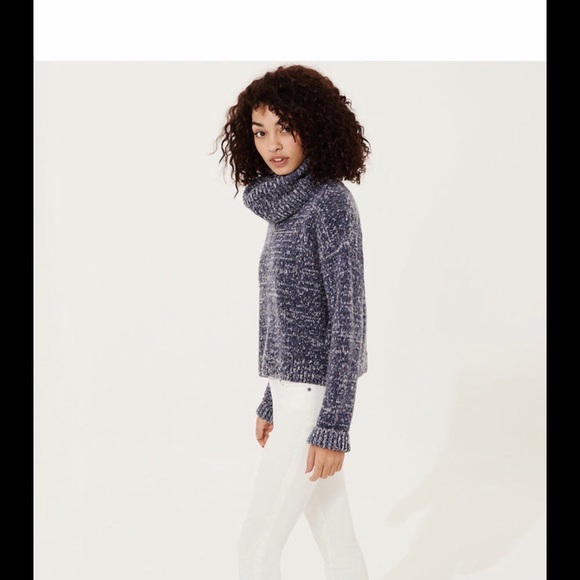 Ann Taylor Loft Lou & Grey Turtleneck Sweater-NWT