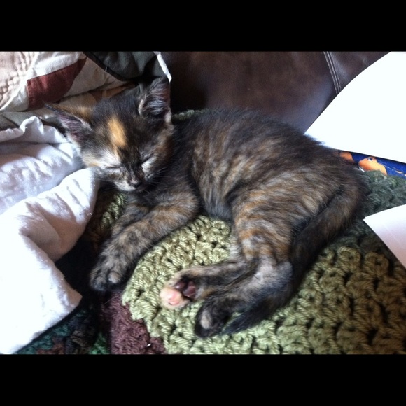 Meet your Posher, Carly - Picture 1 of 1