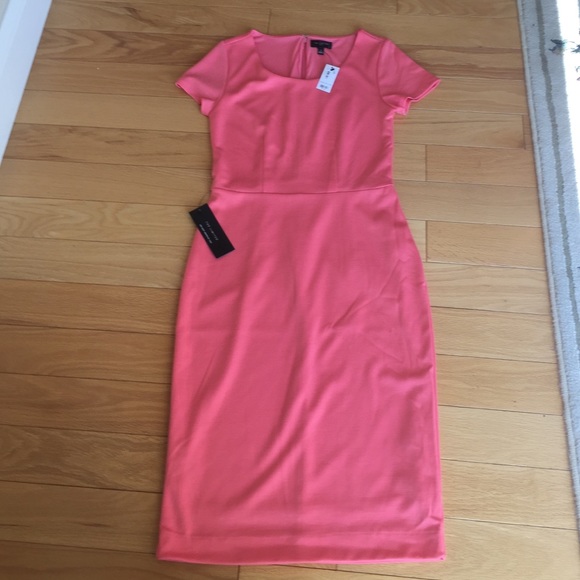 NWT 2P The Limited pink sheath dress
