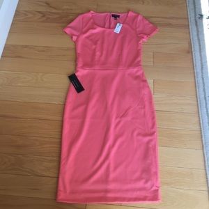 NWT 2P The Limited pink sheath dress